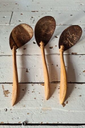 Kokosnoot rijstlepel bali