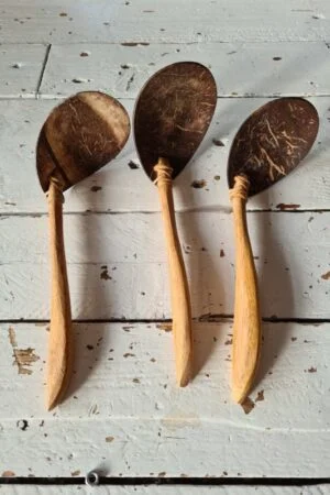 Kokosnoot rijstlepel bali