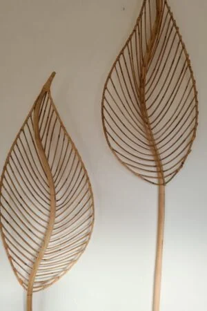 Rotan leaves