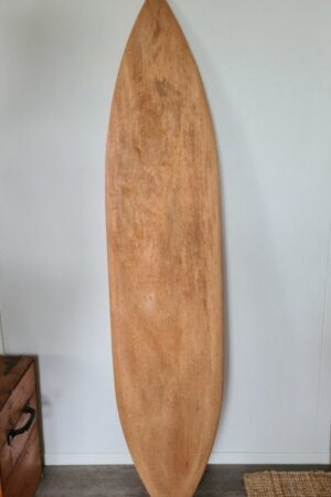 Surfboard nature naturel
