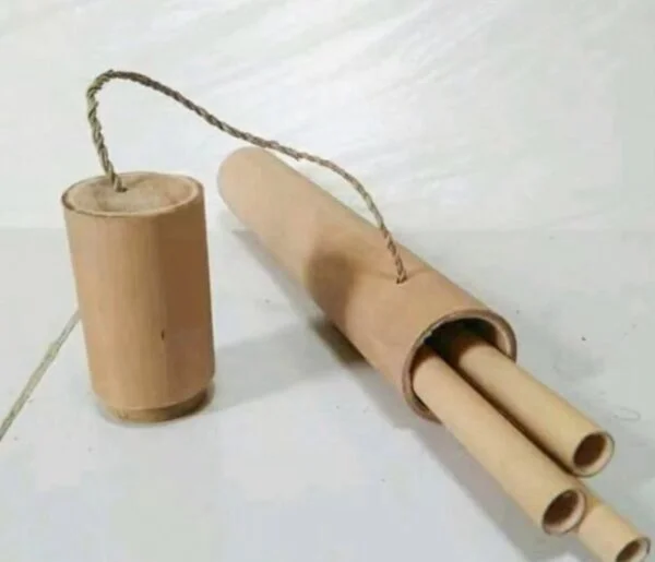 Bamboe rietjes met koker