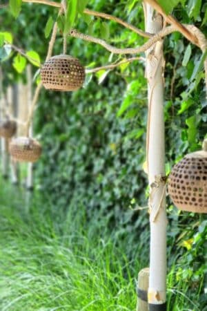 Lichtsnoer 6 kokosnoten