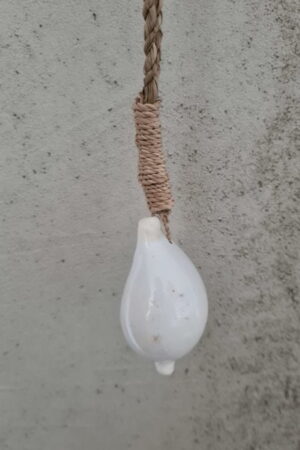 Deurhanger witte tijgerschelp