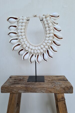 Witte tijgerschelp met witte schelp