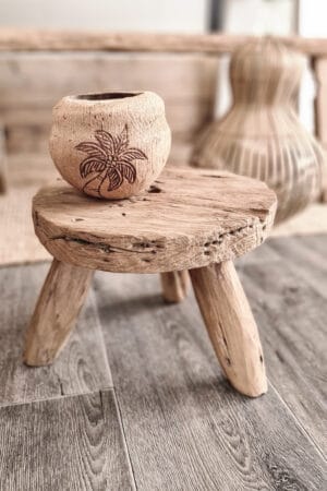 Kokosnoot ruw palmtree