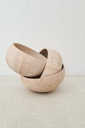 Kokos bol schaaltje rijst licht